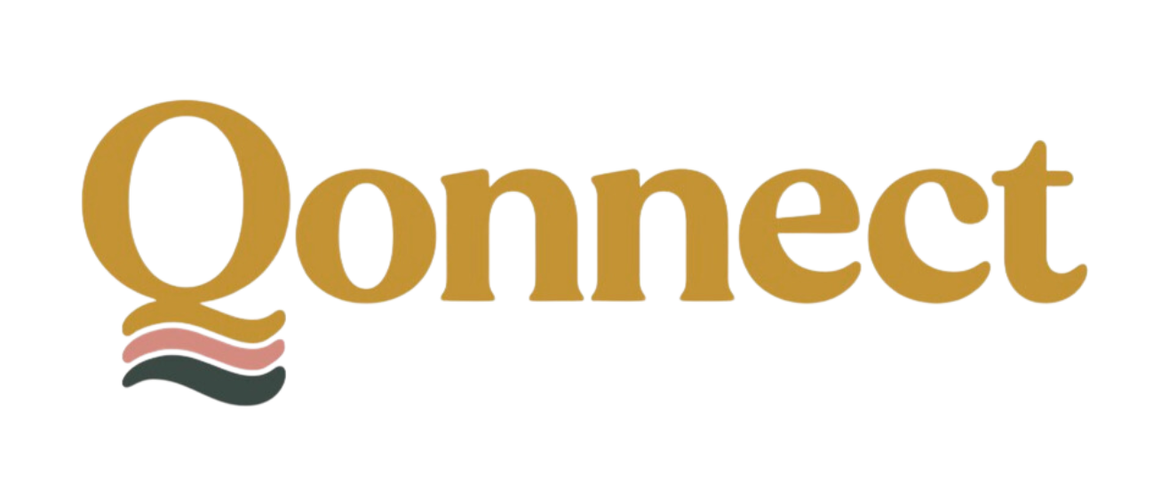 Qonnect Payment
